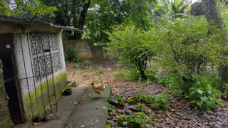 Fazenda / Sítio / Chácara com 6 Quartos à venda, 26000m² no Aldeia dos Camarás, Camaragibe - Foto 27