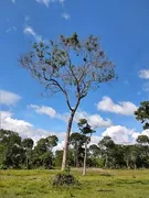 Fazenda / Sítio / Chácara à venda, 1180m² no Zona Rural, Poconé - Foto 4