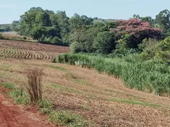 à venda, 24200m² no , Paiçandu - Foto 3