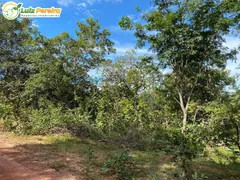 Fazenda / Sítio / Chácara à venda, 23130000m² no Zona Rural, São Francisco do Maranhão - Foto 5