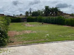 Galpão / Depósito / Armazém para alugar, 835m² no Jardim Moyses Miguel Haddad, São José do Rio Preto - Foto 8