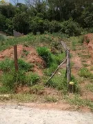 Terreno / Lote / Condomínio à venda, 250m² no Nhambuca Caucaia do Alto, Cotia - Foto 3