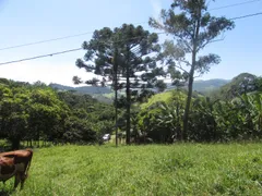 Fazenda / Sítio / Chácara com 1 Quarto à venda, 150000m² no Rural, Extrema - Foto 89