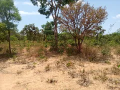 Terreno / Lote / Condomínio à venda, 80000m² no Setor de Mansoes do Lago Norte, Brasília - Foto 10