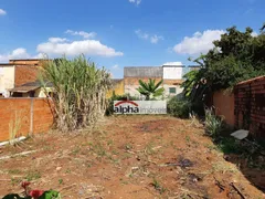 Terreno / Lote Comercial para alugar, 250m² no Parque dos Pinheiros, Hortolândia - Foto 4