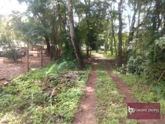 Fazenda / Sítio / Chácara com 3 Quartos à venda, 90m² no Zona Rural, José Bonifácio - Foto 58