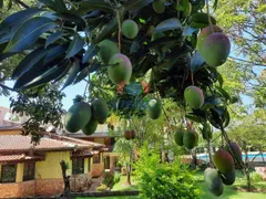 Fazenda / Sítio / Chácara com 8 Quartos à venda, 744m² no Loteamento Aldrovandia Gleba 2, Indaiatuba - Foto 3