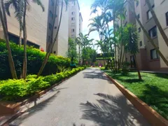 Apartamento com 2 Quartos à venda, 52m² no Vila Santa Catarina, São Paulo - Foto 22