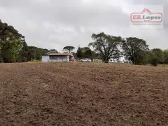 Terreno / Lote / Condomínio à venda, 101950m² no Costeira, São José dos Pinhais - Foto 24