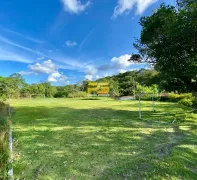 Fazenda / Sítio / Chácara com 4 Quartos à venda, 50000m² no , Pedras de Fogo - Foto 27