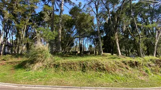 Terreno / Lote / Condomínio à venda, 324m² no Vivendas do Arvoredo, Gramado - Foto 2