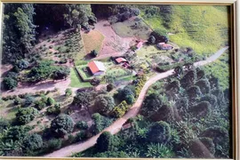 Fazenda / Sítio / Chácara com 5 Quartos à venda, 600m² no , Bom Jardim - Foto 3