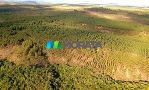 Fazenda / Sítio / Chácara com 1 Quarto à venda, 220m² no Zona Rural, Baldim - Foto 1