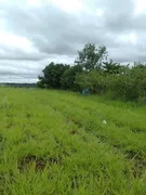 Fazenda / Sítio / Chácara com 2 Quartos à venda, 80000m² no Zona Rural, Jataizinho - Foto 9