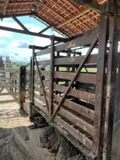 Fazenda / Sítio / Chácara à venda, 212000m² no Area Rural de Garanhuns, Garanhuns - Foto 20