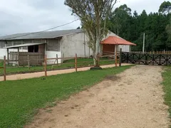Fazenda / Sítio / Chácara à venda, 6500m² no Cachoeira, São José dos Pinhais - Foto 11