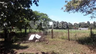 Fazenda / Sítio / Chácara com 3 Quartos à venda, 200m² no Chácaras Bocaiuva Nova, Campinas - Foto 15