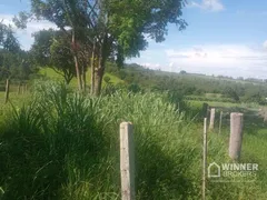 Fazenda / Sítio / Chácara à venda, 16000m² no , Alto Paraná - Foto 3