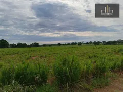 Fazenda / Sítio / Chácara à venda, 21000000m² no Zona Rural, Nossa Senhora do Livramento - Foto 9
