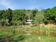 Fazenda / Sítio / Chácara com 4 Quartos à venda, 16720m² no Maraporã, Cachoeiras de Macacu - Foto 5