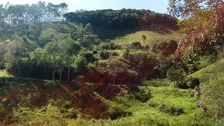 Fazenda / Sítio / Chácara com 3 Quartos à venda, 363000m² no Bairro Alto, Natividade da Serra - Foto 12