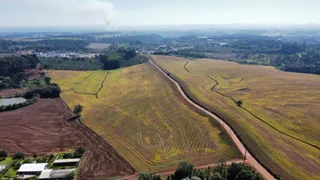 Fazenda / Sítio / Chácara com 1 Quarto à venda, 5000m² no Centro, Chapecó - Foto 1