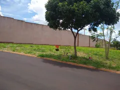 Terreno / Lote / Condomínio à venda, 386m² no Quintas de Sao Jose, Ribeirão Preto - Foto 3