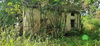 Fazenda / Sítio / Chácara à venda, 121000m² no Vale dos Vinhedos, Bento Gonçalves - Foto 11