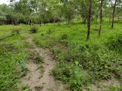 Terreno / Lote / Condomínio à venda, 20000m² no Centro, Cachoeira da Prata - Foto 4