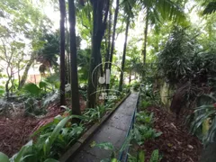 Fazenda / Sítio / Chácara com 2 Quartos à venda, 250m² no Jardim Riviera, Santo André - Foto 5