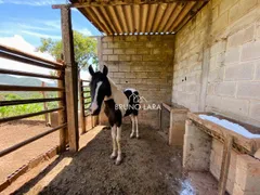 Fazenda / Sítio / Chácara com 4 Quartos à venda, 443m² no Nossa Senhora da Paz, São Joaquim de Bicas - Foto 43