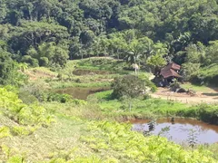 Fazenda / Sítio / Chácara com 4 Quartos à venda, 872400m² no Zona Rural, Juquiá - Foto 1