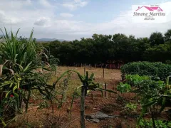 Fazenda / Sítio / Chácara com 6 Quartos à venda, 800m² no , Socorro - Foto 46