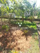 Fazenda / Sítio / Chácara com 3 Quartos à venda, 350m² no Parque das Varinhas, Mogi das Cruzes - Foto 11