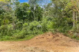 Fazenda / Sítio / Chácara à venda, 200000m² no Bocaiuva Do Sul, Bocaiúva do Sul - Foto 8