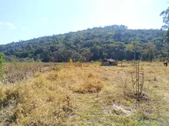 Fazenda / Sítio / Chácara com 4 Quartos à venda, 1700000m² no Centro, São Luiz do Paraitinga - Foto 23