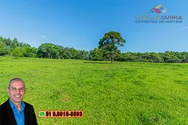 Fazenda / Sítio / Chácara com 4 Quartos à venda, 100m² no Zona Rural, Três Coroas - Foto 12