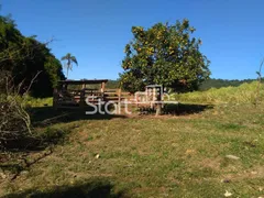 Fazenda / Sítio / Chácara com 3 Quartos à venda, 1000m² no , Silvianópolis - Foto 11