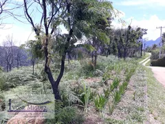 Terreno / Lote / Condomínio à venda, 5000m² no Vale das Videiras, Petrópolis - Foto 71