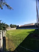 Fazenda / Sítio / Chácara com 3 Quartos à venda, 1000m² no Jardim Boa Vista, Hortolândia - Foto 3