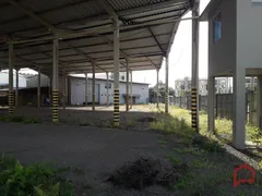 Galpão / Depósito / Armazém para alugar, 368m² no Pinheiro, São Leopoldo - Foto 5