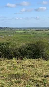 Fazenda / Sítio / Chácara com 3 Quartos à venda, 30000m² no Centro, Ceará Mirim - Foto 10