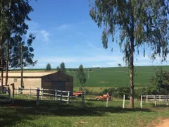 Fazenda / Sítio / Chácara com 4 Quartos à venda, 4259200m² no Rural, Silvânia - Foto 18