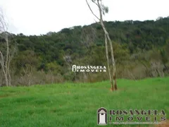 Fazenda / Sítio / Chácara com 4 Quartos à venda, 2000m² no Vargem Grande, Teresópolis - Foto 17