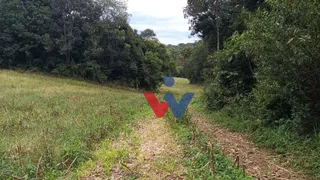 Fazenda / Sítio / Chácara à venda, 24300m² no Estação, Araucária - Foto 3