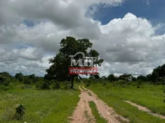Fazenda / Sítio / Chácara com 4 Quartos à venda, 4259200m² no Zona Rural, Bom Jardim de Goiás - Foto 30