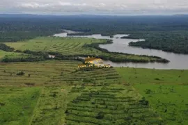Fazenda / Sítio / Chácara com 3 Quartos à venda, 149515m² no Centro, Rondolândia - Foto 9