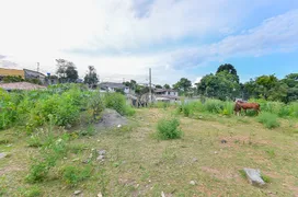 Terreno / Lote / Condomínio à venda, 4358m² no Jardim Apucarana, Almirante Tamandaré - Foto 9
