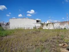 Terreno / Lote / Condomínio à venda, 1350m² no Setor Coimbra, Goiânia - Foto 2