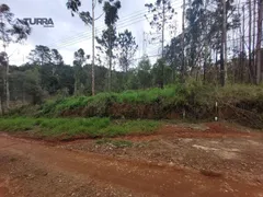 Terreno / Lote / Condomínio à venda, 10000m² no Jardim Estancia Brasil, Atibaia - Foto 2